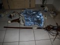 IMG 9478 1