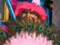 IMG 2650 46