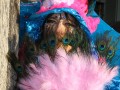 IMG 2652 47