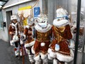 IMG 8894 8