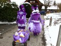 IMG 2534 11