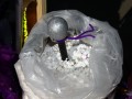 IMG 3641 42