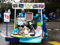 IMG 0953 29