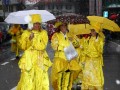 IMG 0317 31