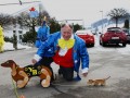 IMG 2247 3