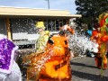 IMG 2928 13
