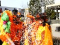 IMG 2937 16