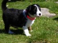IMG 4988 21