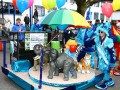 IMG 4033 4