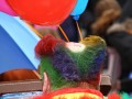 IMG 4080 12
