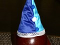 IMG 4368 95