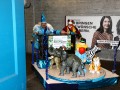 IMG 6631 26