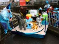 IMG 6648 32