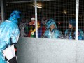 IMG 6675 38