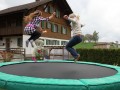 IMG 8520 43