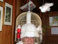 IMG 4340 8