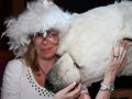 IMG 4713 46