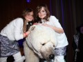 IMG 4716 47
