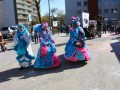 IMG 5681 33