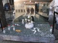 IMG 5208 26