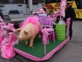 DSC01301