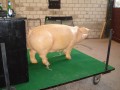 DSC03639