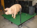 DSC03644