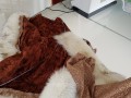 IMG 22