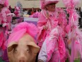 DSC02739
