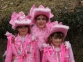 DSC04254