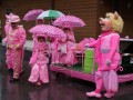 DSC04919