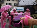 DSC05065