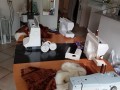 IMG 40