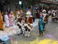 IMG 9600 43