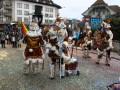 IMG 9625 51
