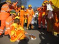 IMG 2911