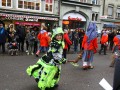 IMG 8146