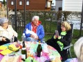 IMG 0244