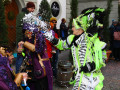 IMG 4290