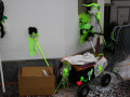 IMG 4295