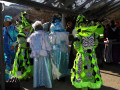 IMG 4355