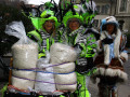 IMG 5337