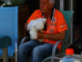 IMG 6091