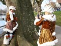 IMG 8070 31
