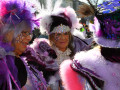 IMG 7489