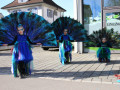 IMG 7499