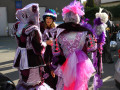 IMG 7508