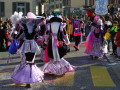 IMG 7584