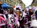 IMG 7901