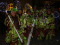 IMG 9385